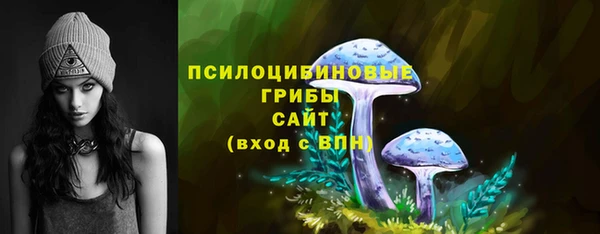 ешки Верея