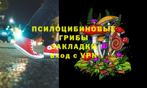 шишки Верхнеуральск