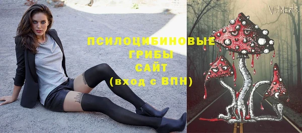 шишки Верхнеуральск