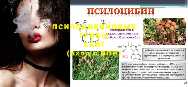 ешки Верея